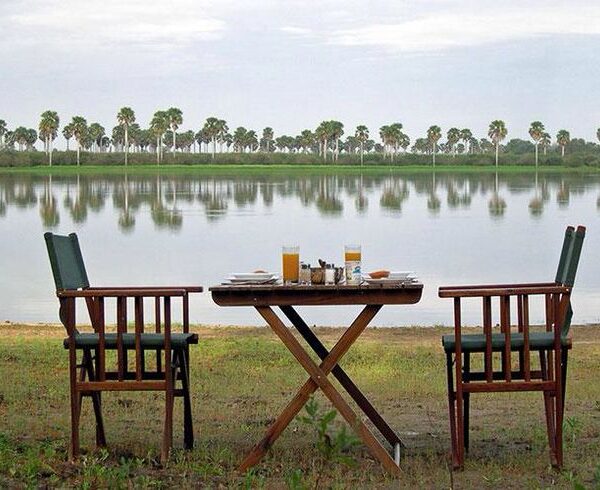 Selous game reserve, Tanzania