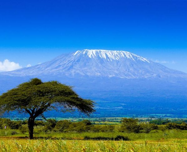 Mount Kilimanjaro May Get a Controversial Cable Car